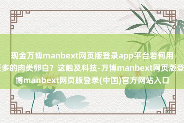 现金万博manbext网页版登录app平台若何用相对较少的食粮坐褥更多的肉类卵白？这触及科技-万博manbext网页版登录(中国)官方网站入口